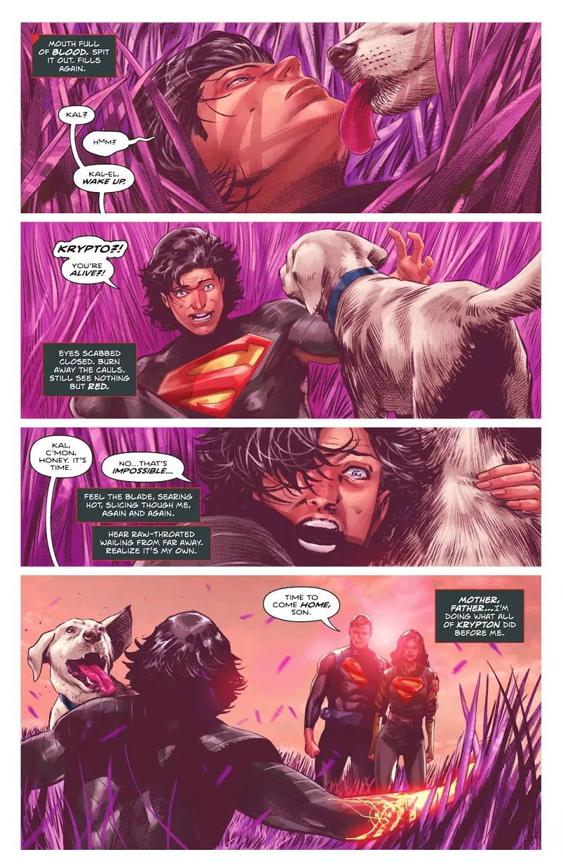 DC,DC漫画,美漫,漫画,动漫,绝对宇宙,绝对超人,超人,绘画,ACG