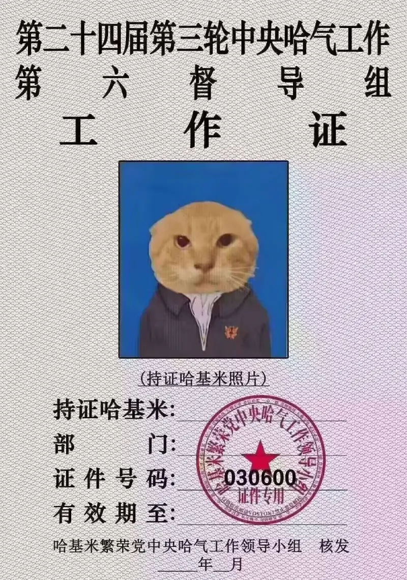 梗图,明日方舟,木柜子