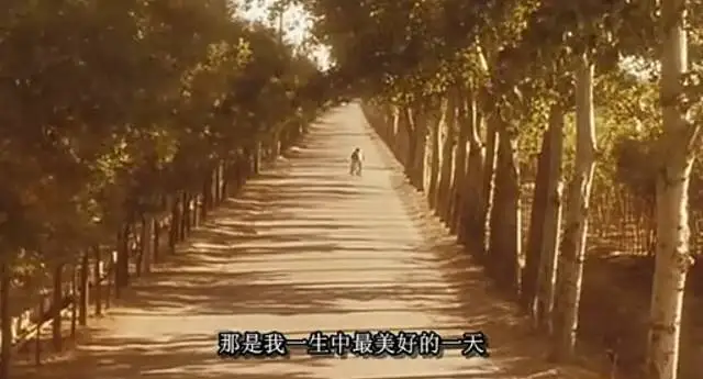 《阳光灿烂的日子》 《阳光灿烂的日子》