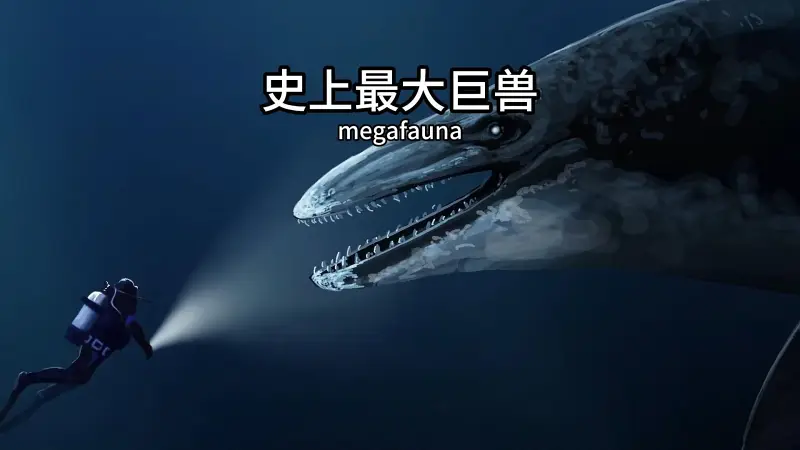 海一条比蓝鲸还长的蛇