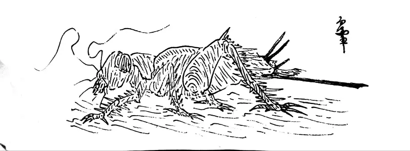 涧螽