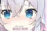 真不赌啦