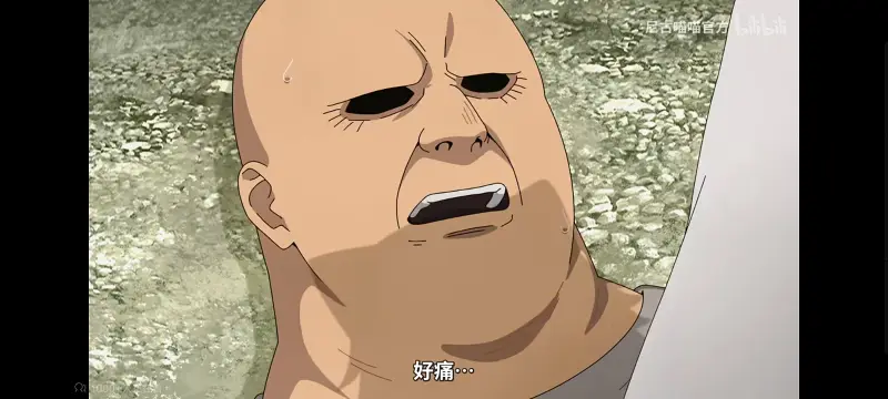 尼古喵喵,雅尼猫,动画,动漫,番剧,ACG,日漫,二次元