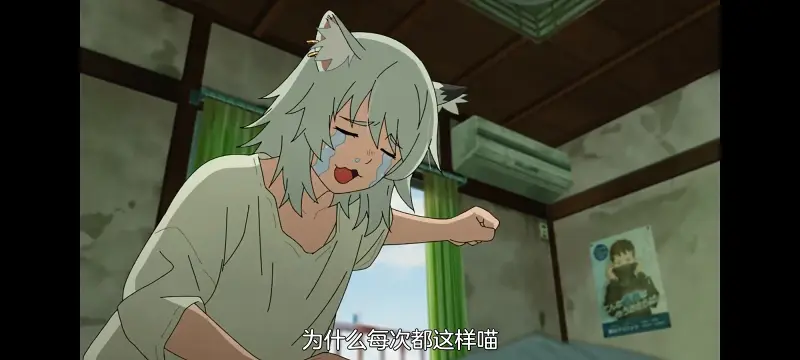 雅尼猫,尼古喵喵,动画,动漫,番剧,二次元,日漫,ACG