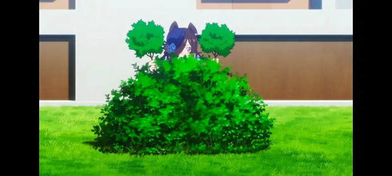 赛马娘,赛马娘第二季,动画,动漫,番剧,二次元,ACG,赛马娘PrettyDerby