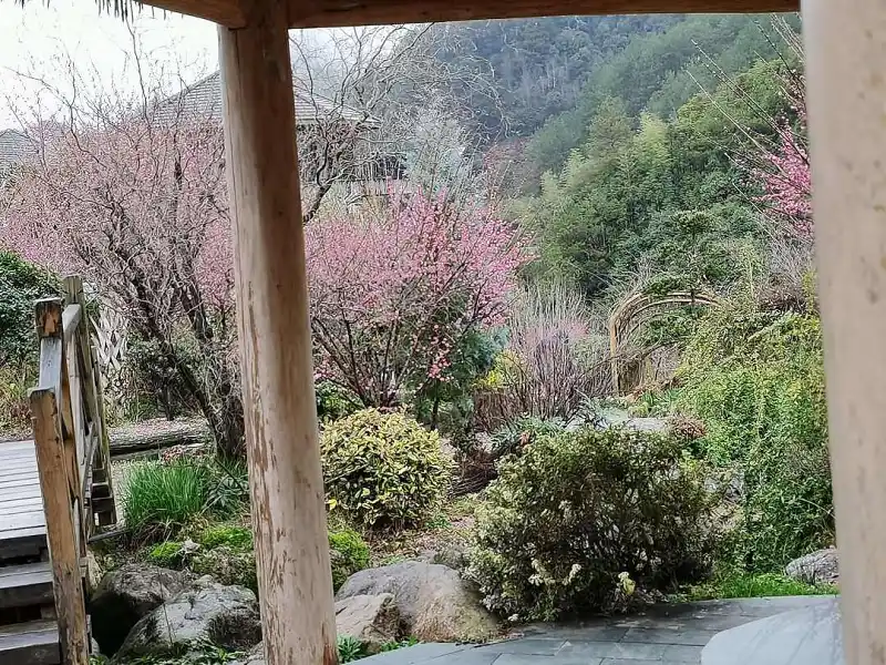 闲聊茶馆,郊野