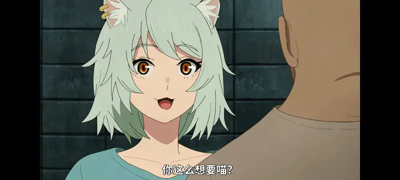 尼古喵喵,雅尼猫,动画,动漫,番剧,日漫,二次元,ACG