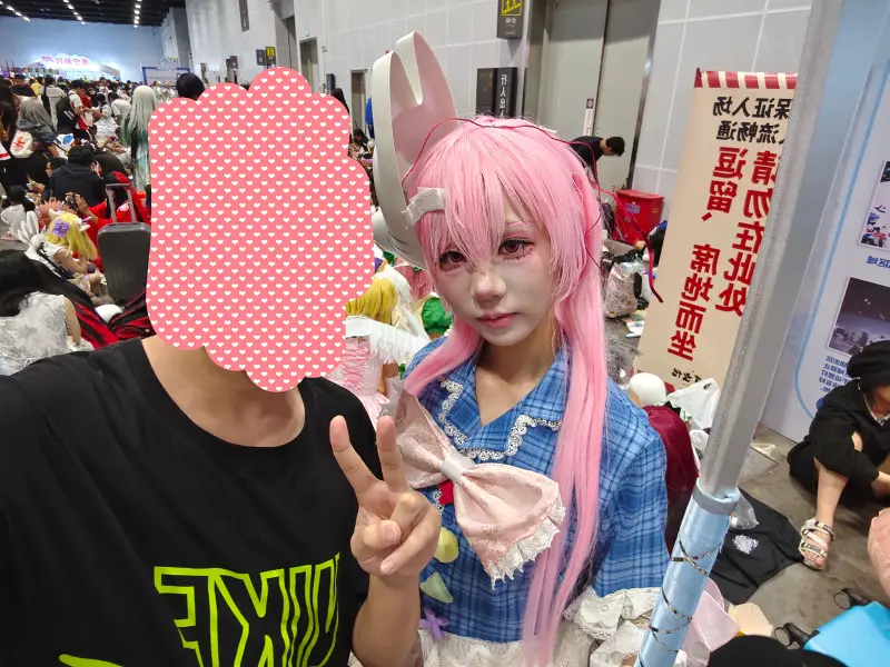 漫展,二次元,东方project,术力口,初音未来,镜音双子,特摄,奥特曼,Minecraft,痛车