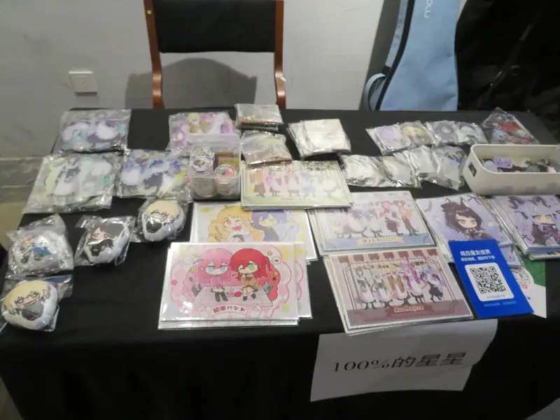 漫展,摄影