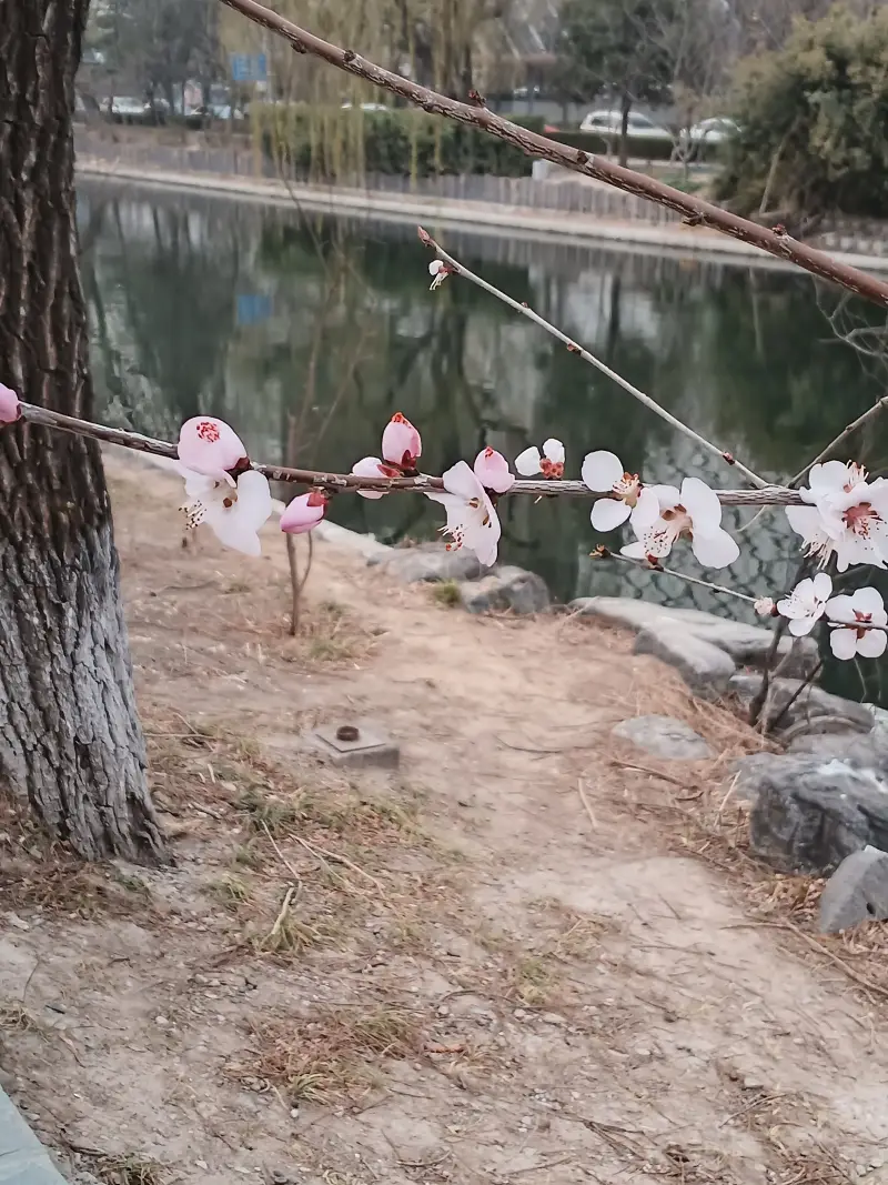 记录