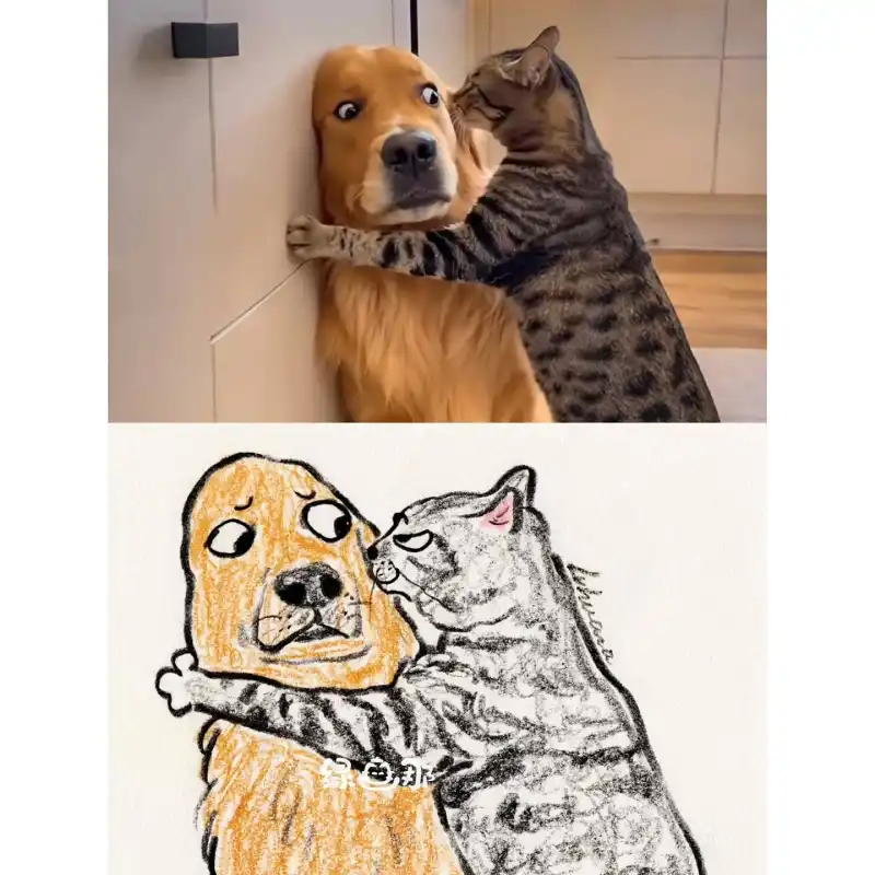 绿画那,插画,猫猫,可爱