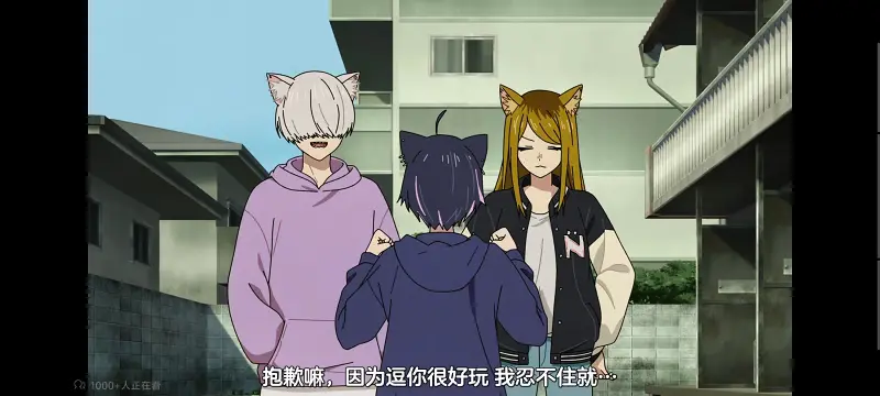 尼古喵喵,雅尼猫,动画,动漫,番剧,日漫,二次元,ACG