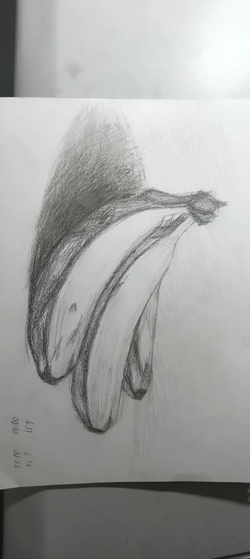 绘画,素描