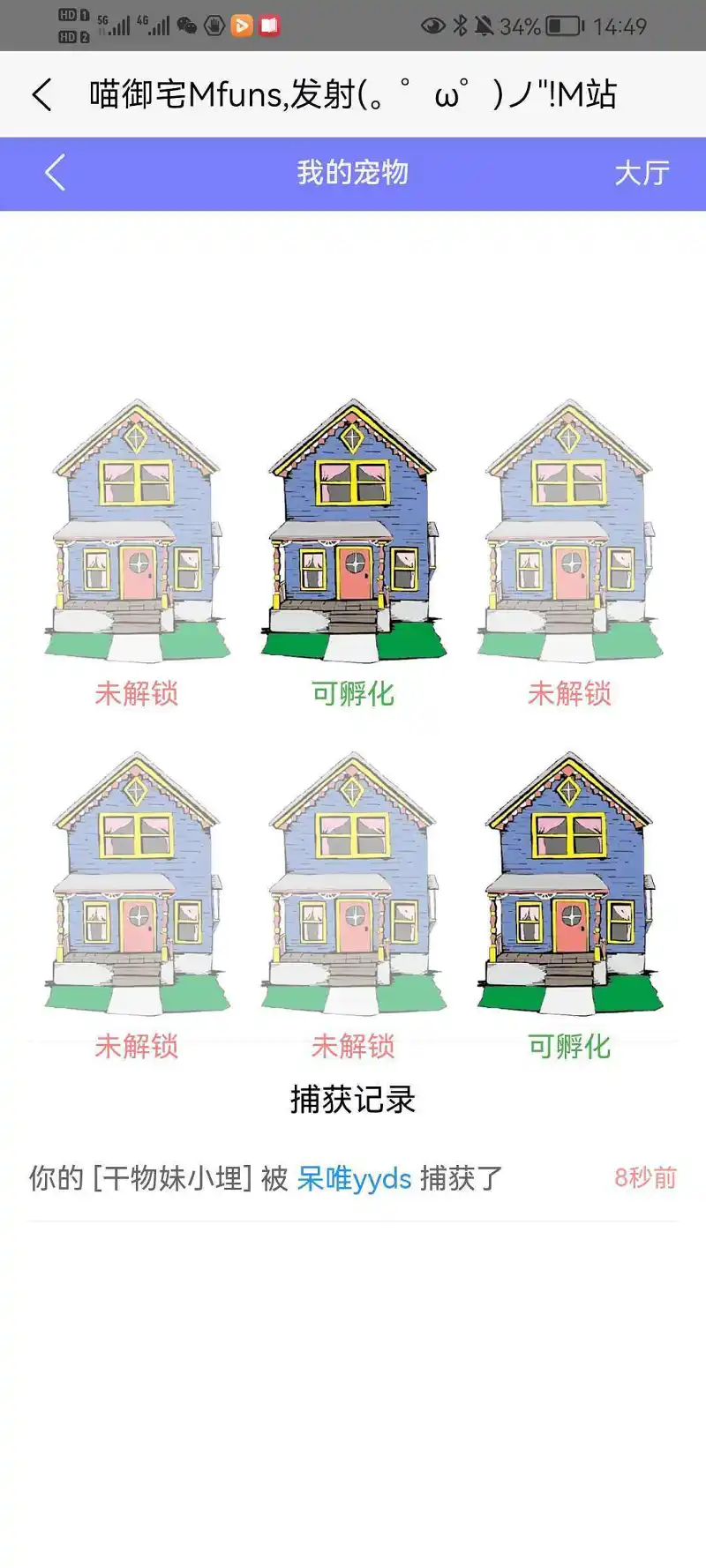 新人报道,新人