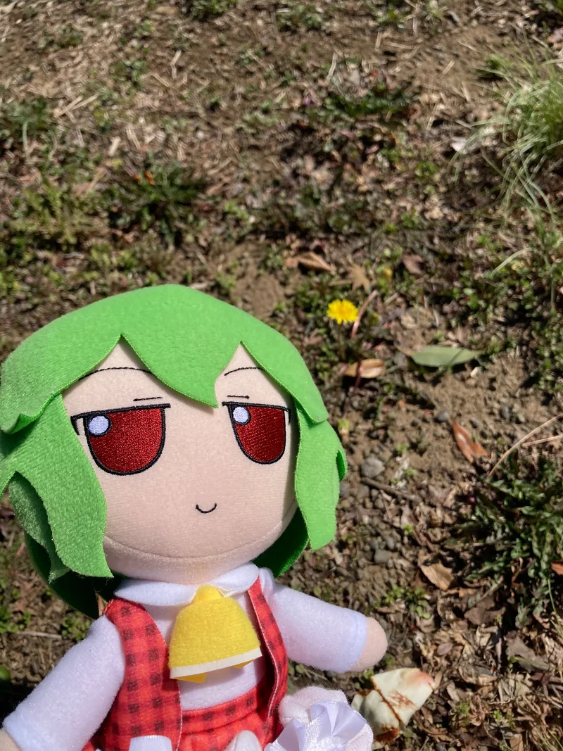 东方project,fumo