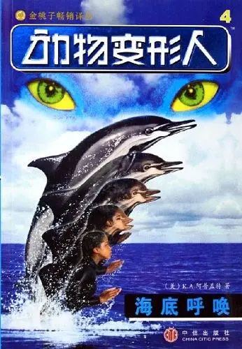变形金刚,冷门