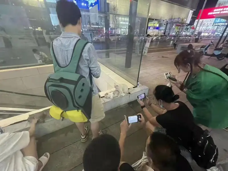 震惊！年轻情侣当街行不雅之事，无视众人围观！