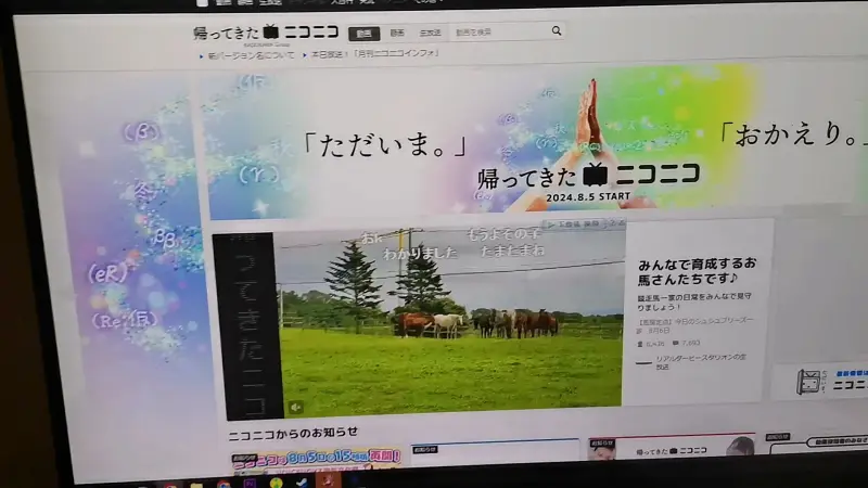 N站回归后主界面有何变化？