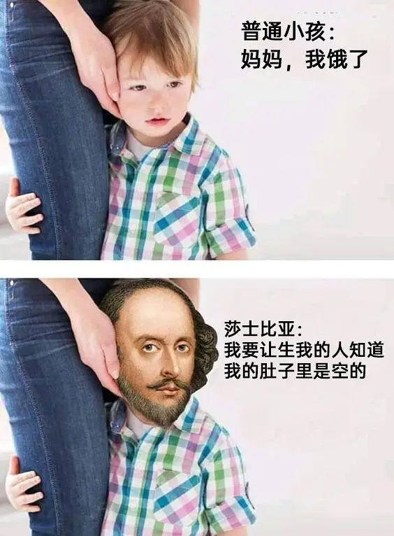 meme,模因,搞笑