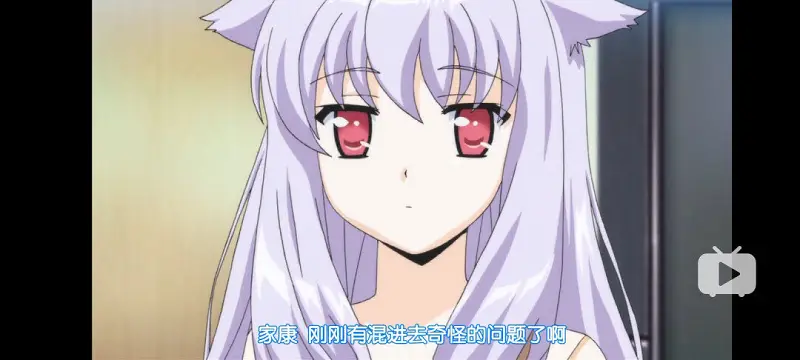 番剧推荐二:《迷途猫OVER RUN》