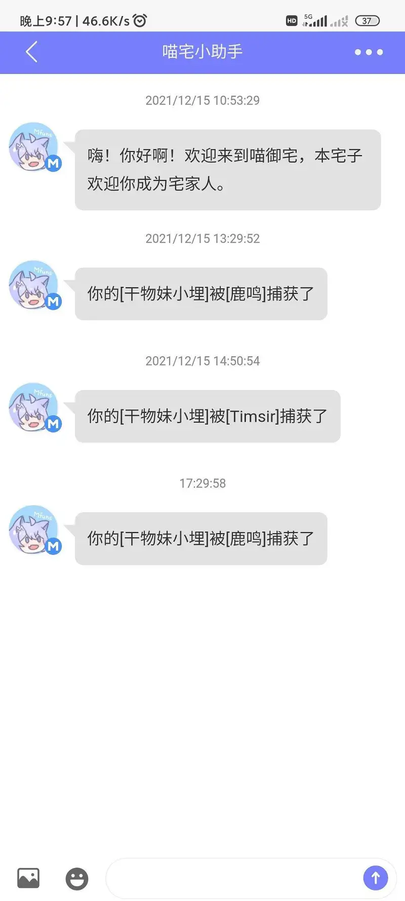 养蛋