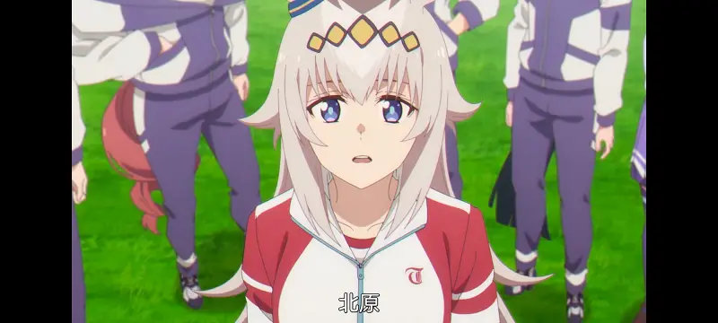赛马娘,赛马娘芦毛灰姑娘,芦毛灰姑娘,动画,动漫,赛马娘PrettyDreby,番剧,ACG