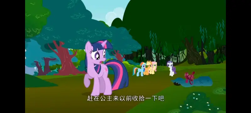 小马宝莉,小马宝莉友谊魔法,彩虹小马,我的小马驹,动画,动漫,番剧,ACG