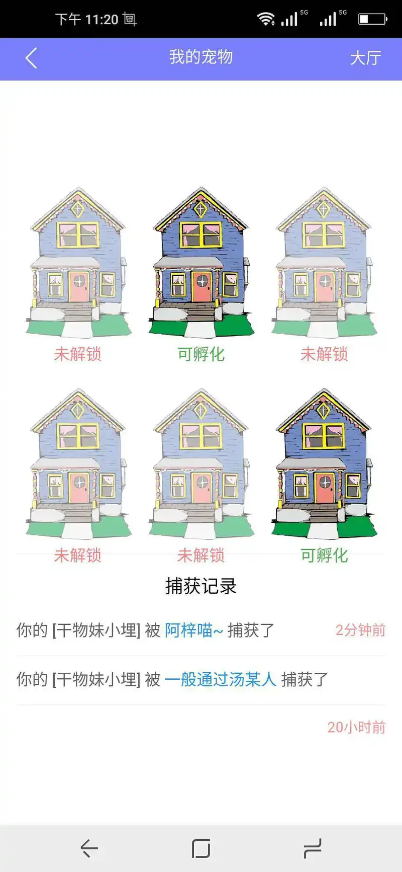 闲聊茶馆,宠物