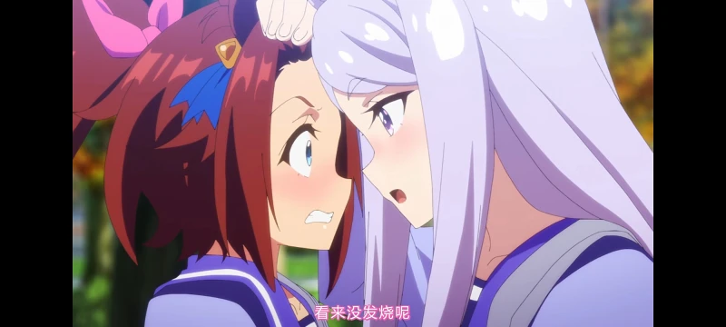 赛马娘,赛马娘第二季,动画,动漫,番剧,二次元,ACG