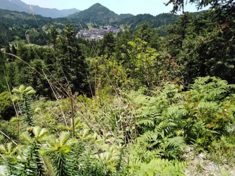 形峦风水基础知识