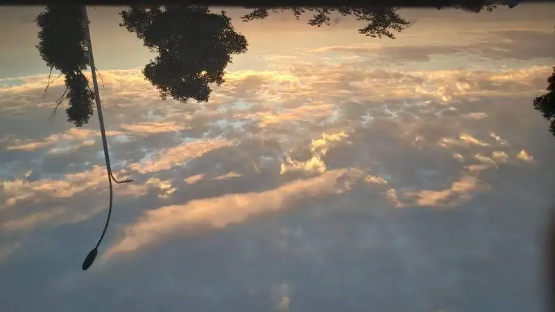 诗歌