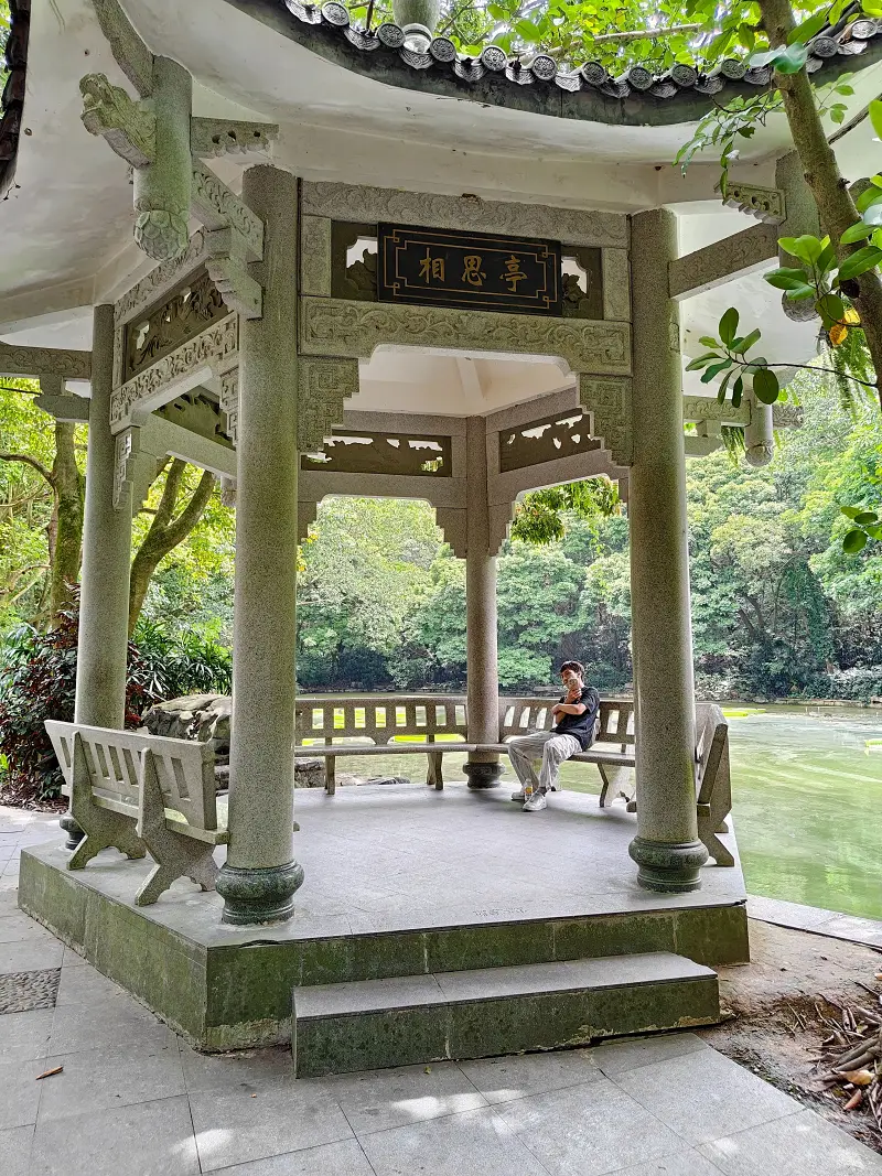 青秀山,三街两巷,特种兵般的旅游