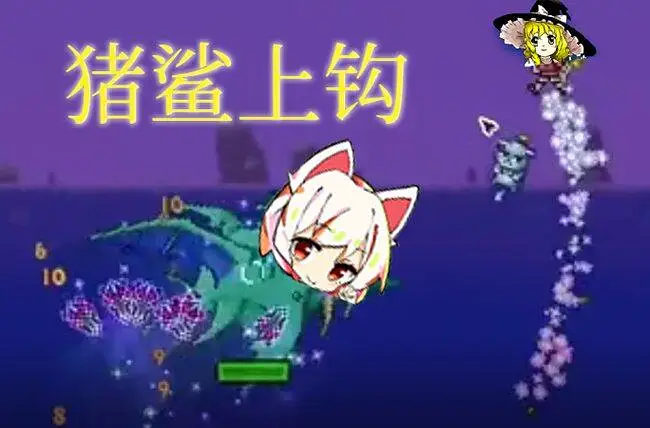 猪鲨上钩