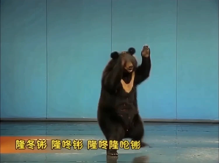 狗熊哆嗦毛