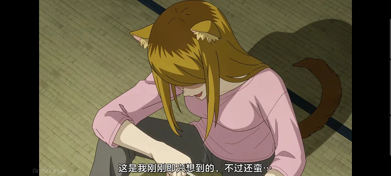 尼古喵喵,雅尼猫,动画,动漫,番剧,二次元,ACG,日漫