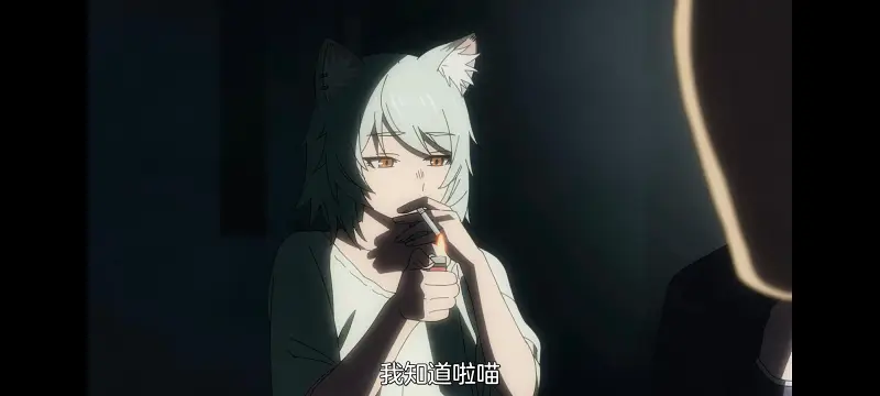 雅尼猫,尼古喵喵,动画,动漫,番剧,二次元,日漫,ACG