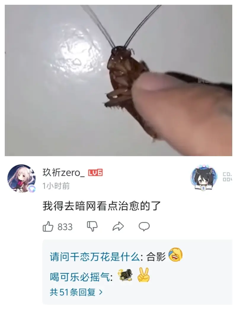 梗图