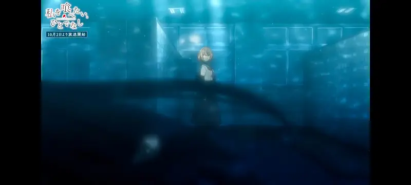 想吃掉我的非人少女,对我垂涎欲滴的非人少女,动画,动漫,百合,百合番,番剧,ACG