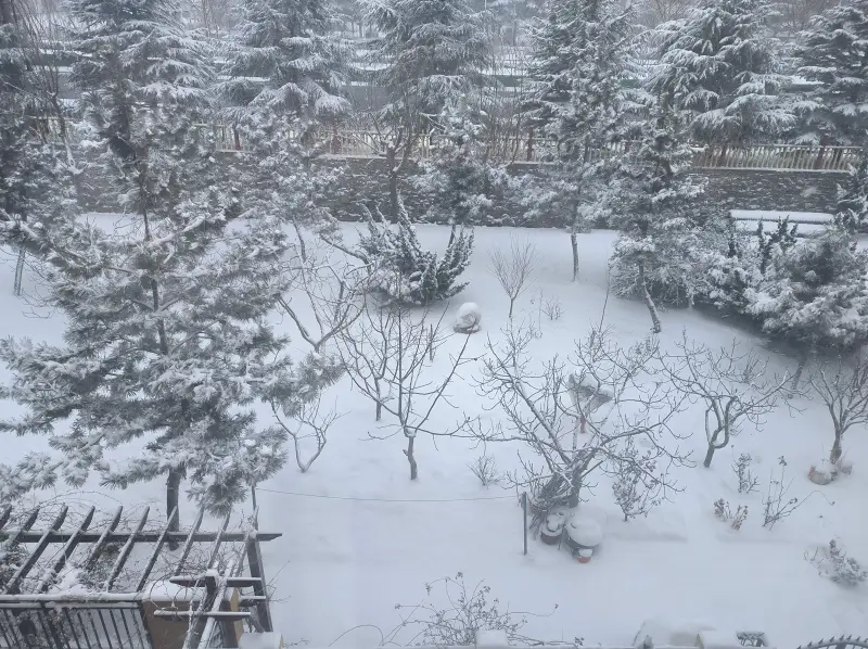 下雪了