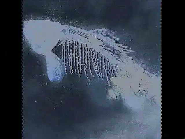 蒸汽波
