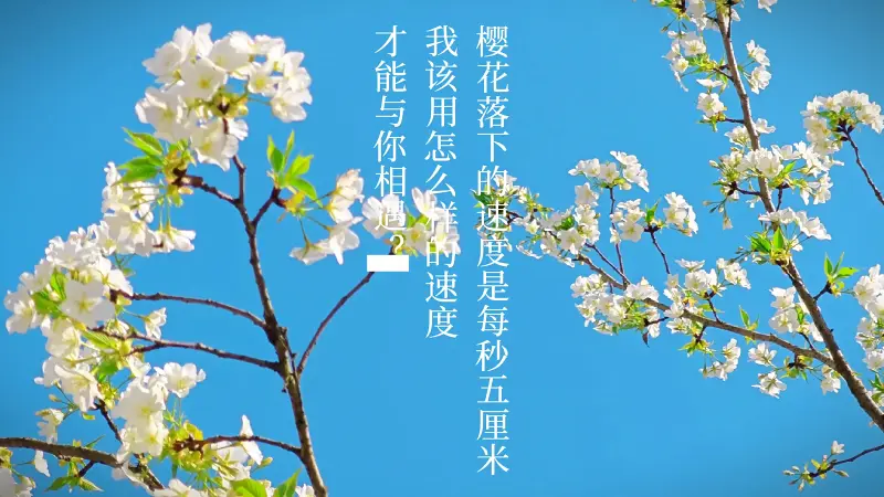 天门 - END THEME 🌸樱花落下的速度是每秒五厘米， 我该用怎么样的速度，才能与你相遇？