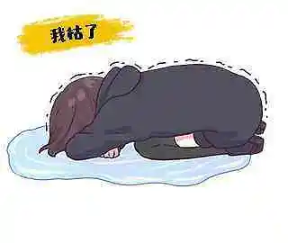表情包(2)