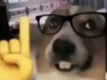 “动态-最新”失效？我有一计🤓👆