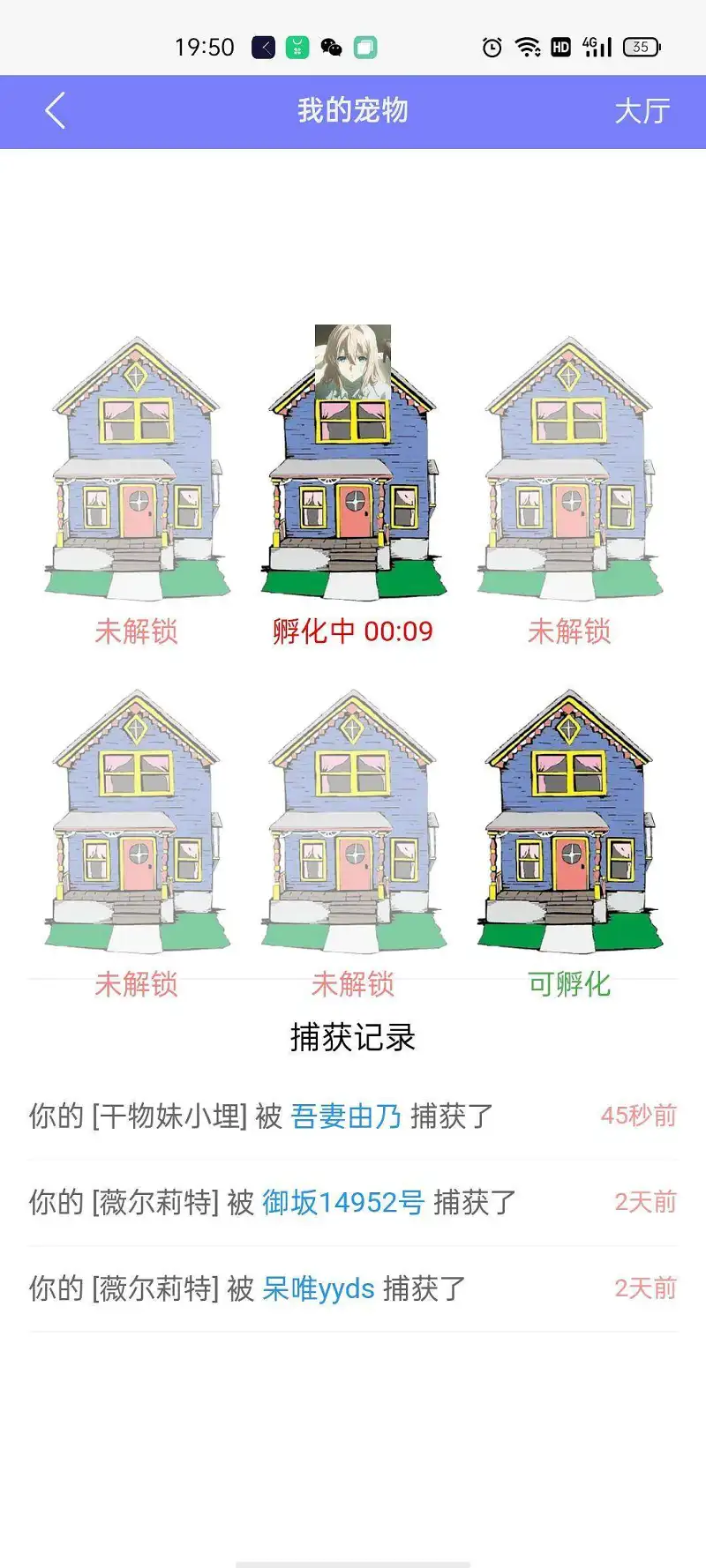 闲聊茶馆,宠物