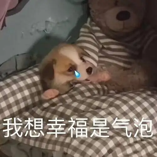 用户交流,M站拜年祭
