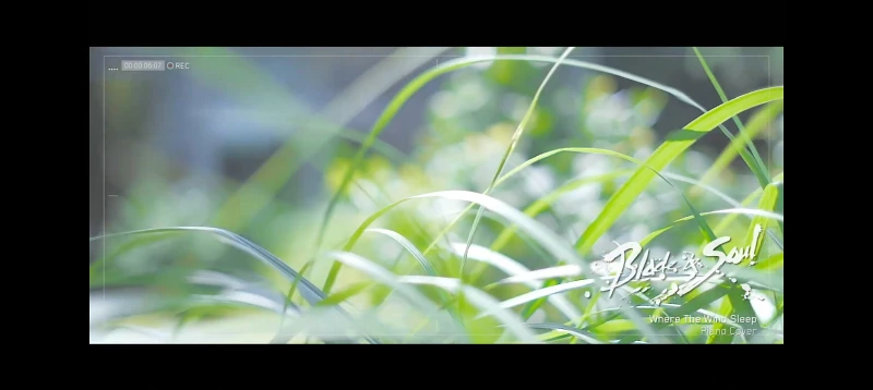 《剑灵》【盛开在南方的殇之花（随风而逝）】钢琴曲