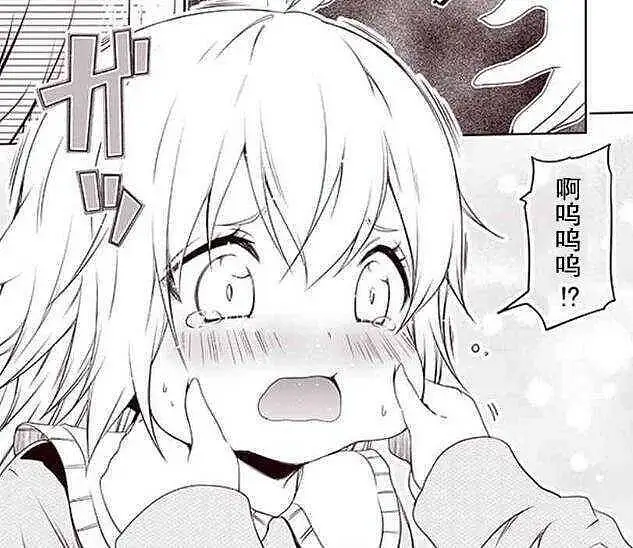 新人报道