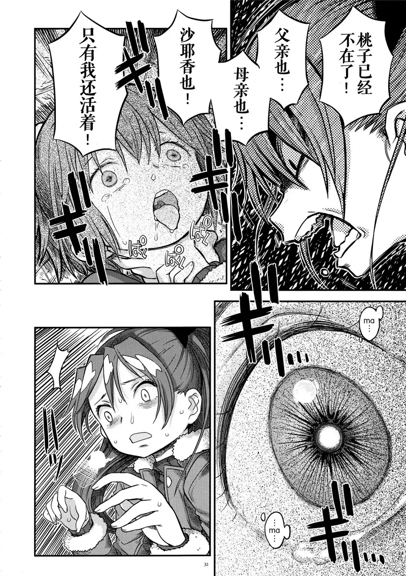 魔法少女小圆,同人,漫画,归途的魔女