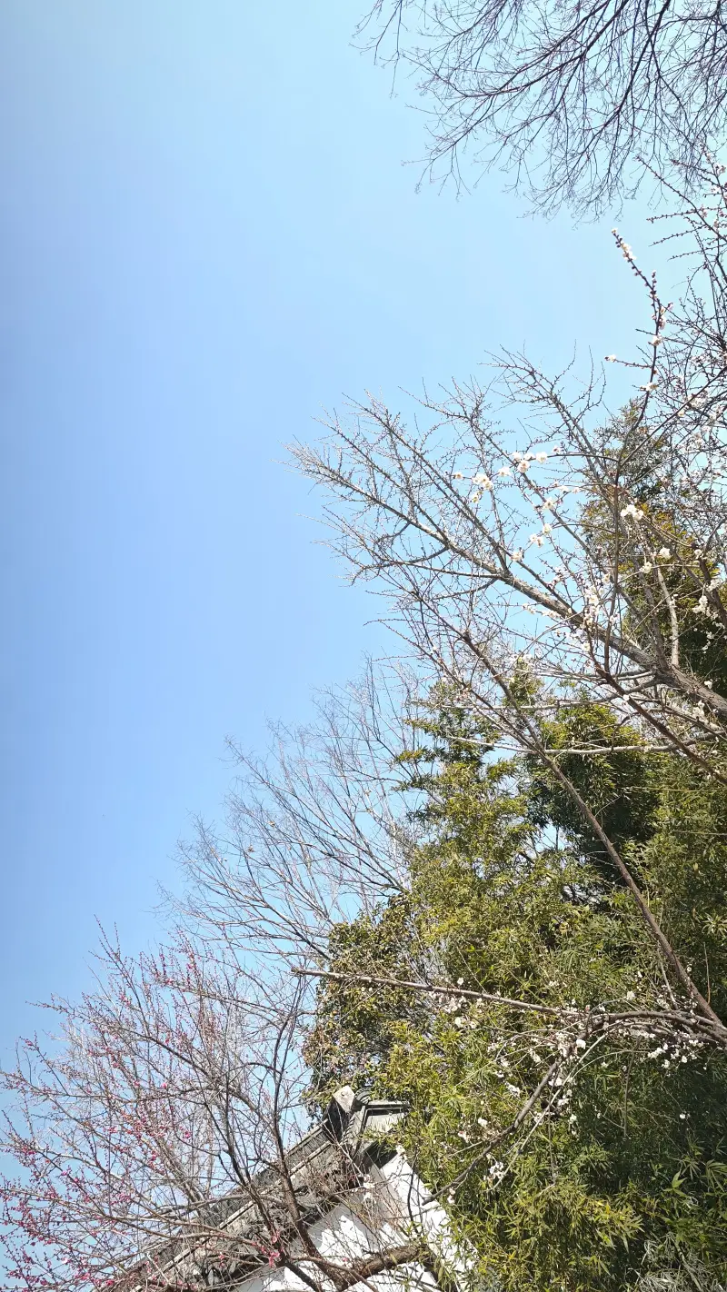 过年