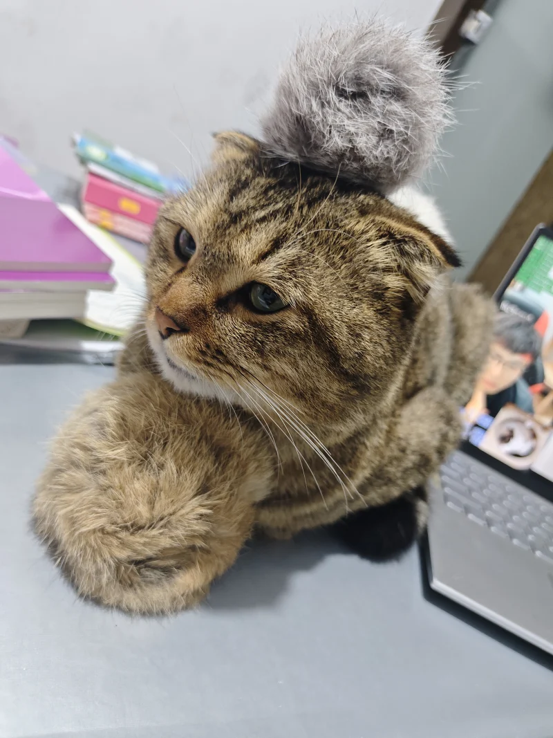 新人报道